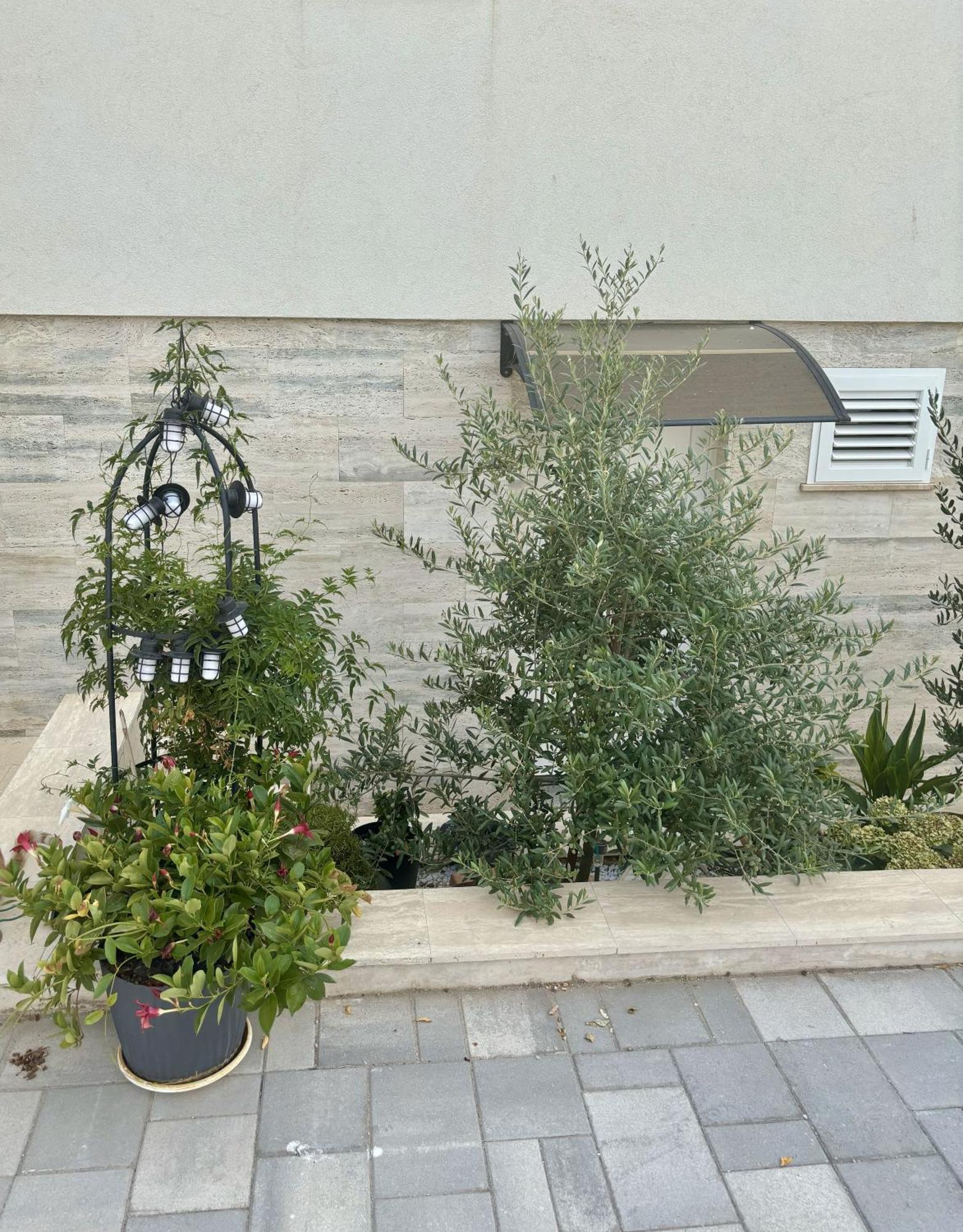 Vila Regina Apartment Regina With Swimming Pool Jezera Bagian luar foto