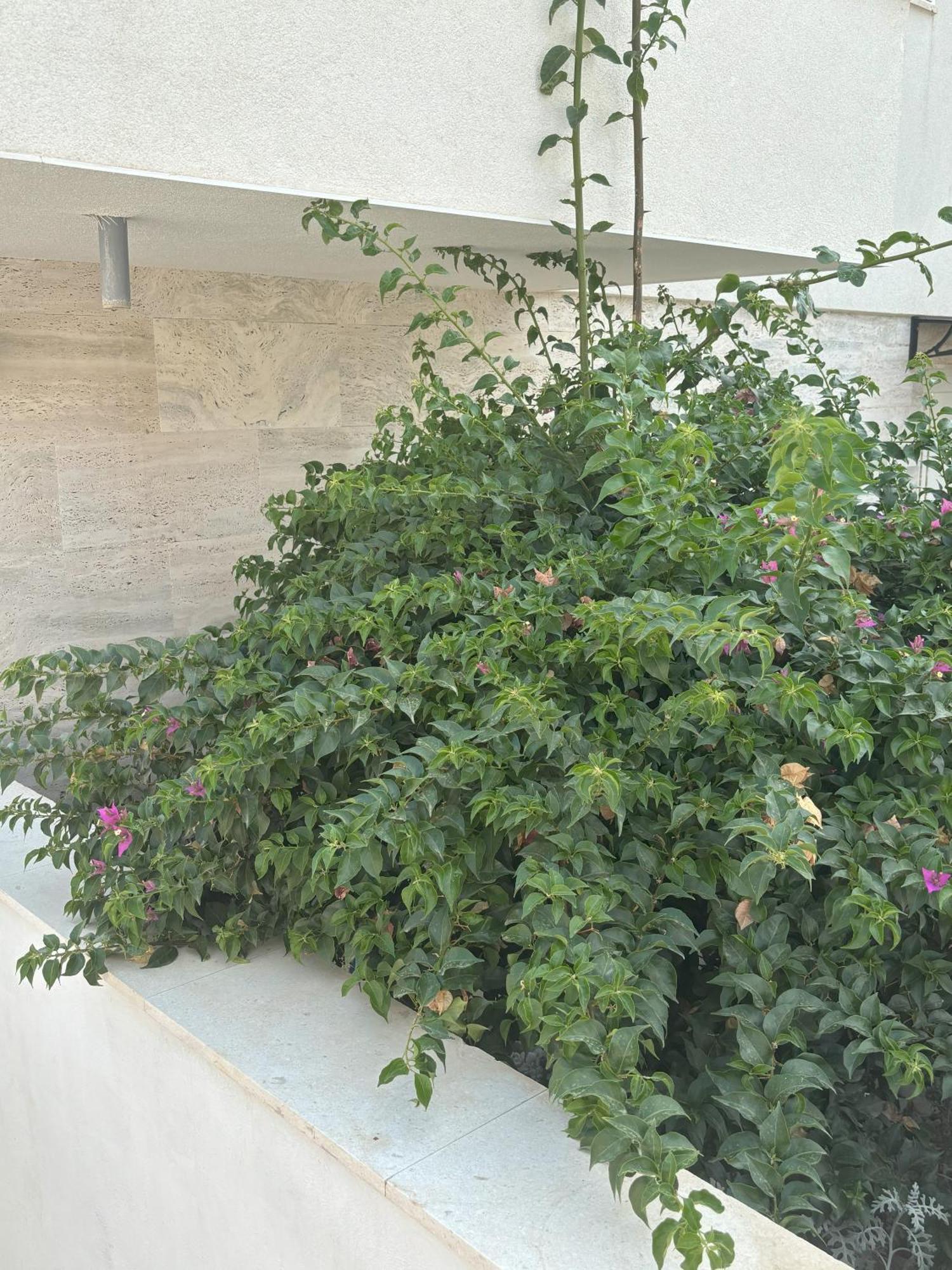 Vila Regina Apartment Regina With Swimming Pool Jezera Bagian luar foto